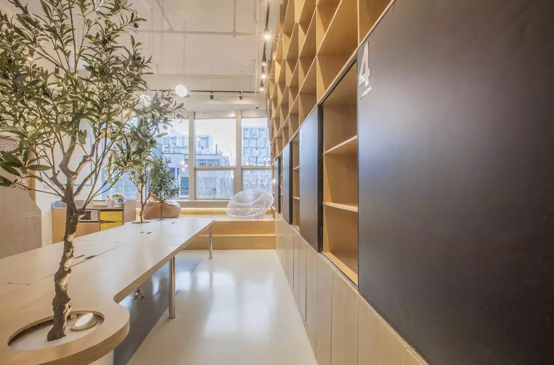 牛在墻上飛，猴子樹梢醉；這是在動物園辦公嗎？